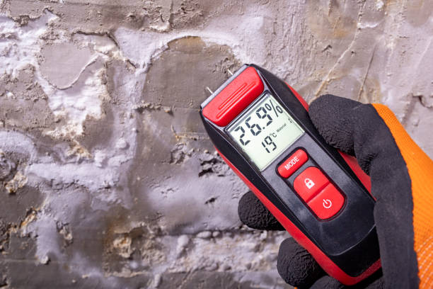 Best Professional Mold Removal  in Bridgetown, MS