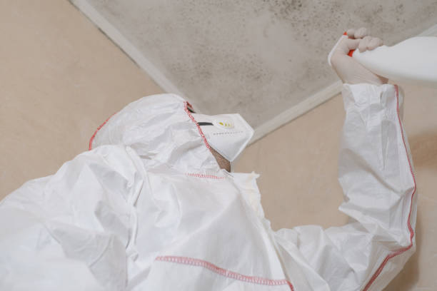 Best Mold Testing  in Bridgetown, MS
